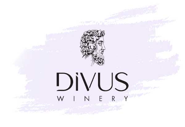 Divus Wein Moldawien – kräftige Rotweine und exklusive Cuvées online kaufen